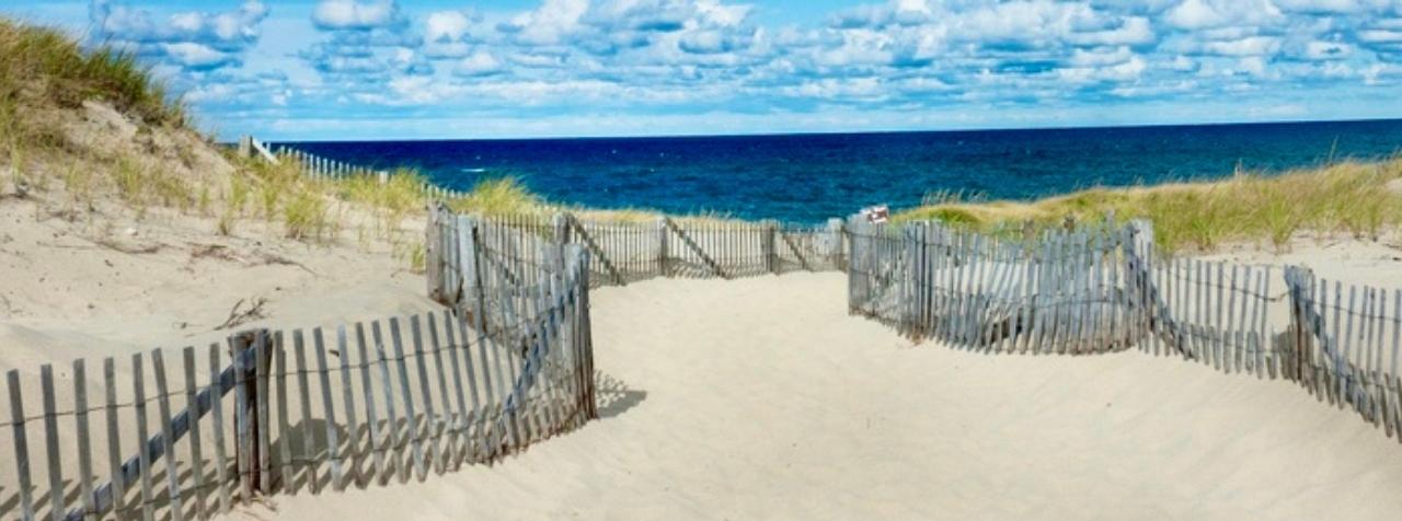 A Guide to Cape Cod Home Page Background